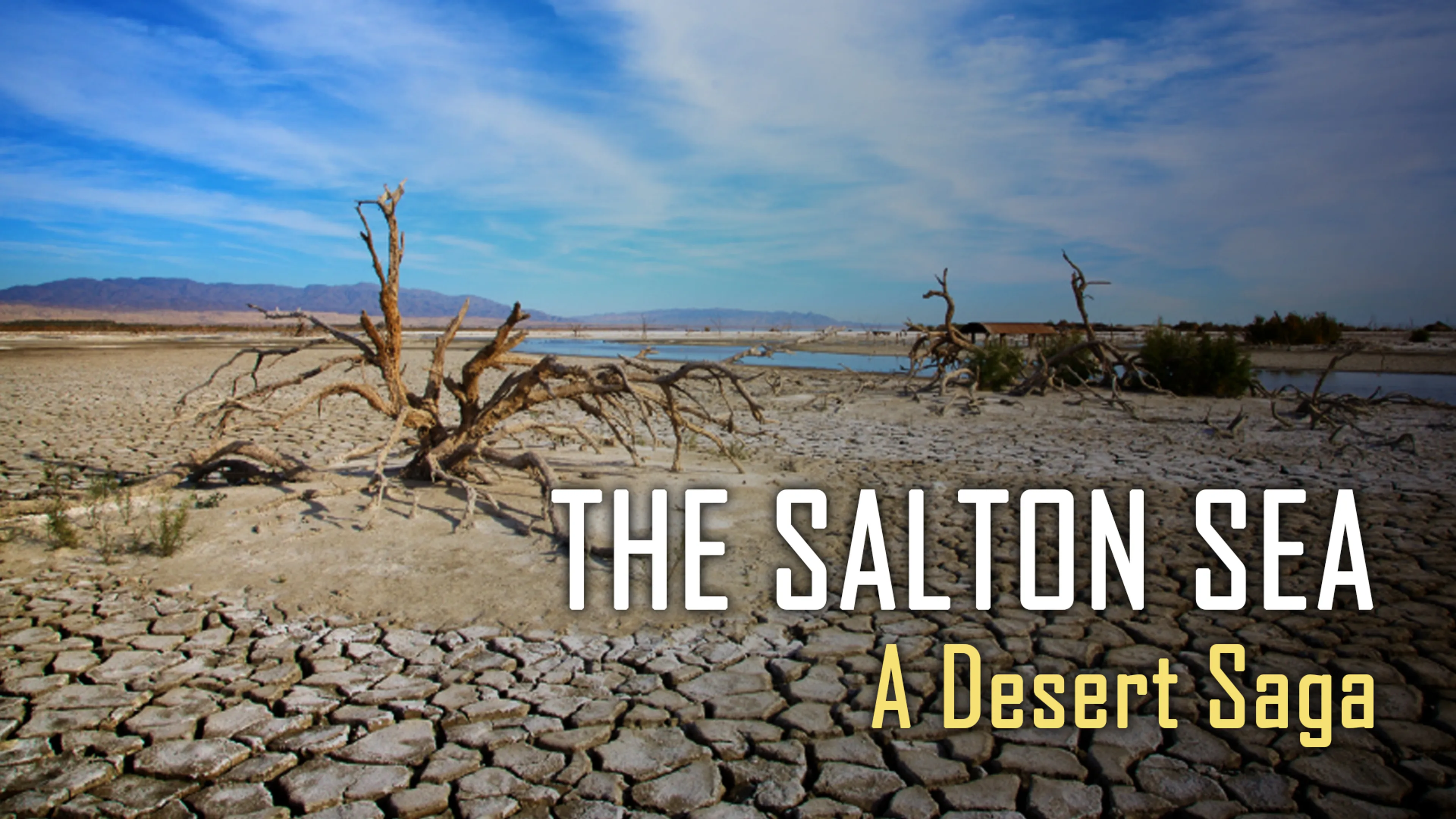 The Salton Sea: A Desert Saga poster